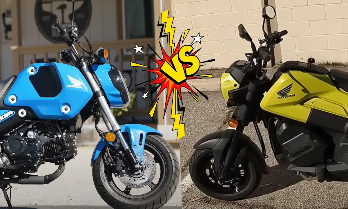 Honda Grom Vs Navi (Choose the Best) MotorBike Dude