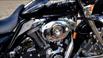 harley davidson 110 motor