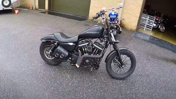 Best Harley for Beginners
